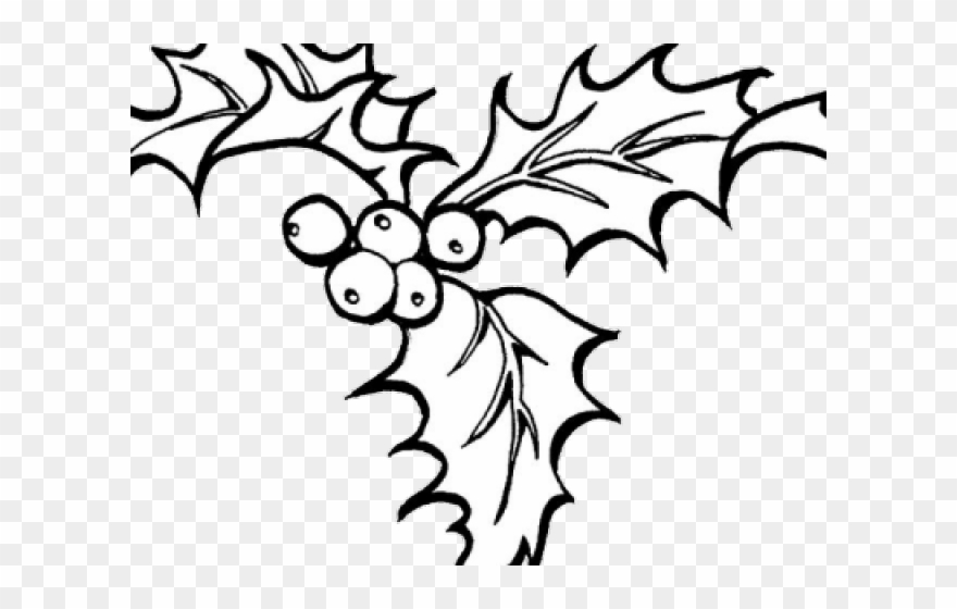 Drawn Ivy Holly And Ivy Clipart