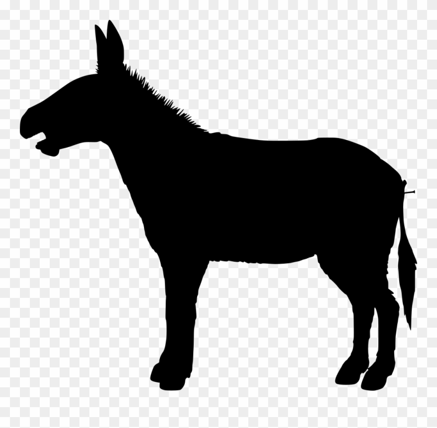 Info Clipart