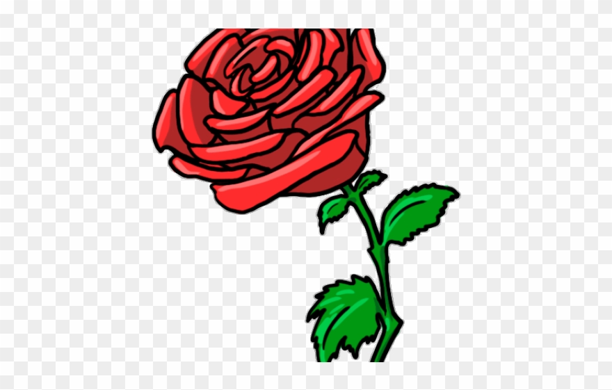 Rose Bush Clipart Drawn Rose - Png Download