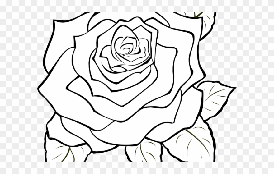 Rose Bush Clipart Three - Png Download