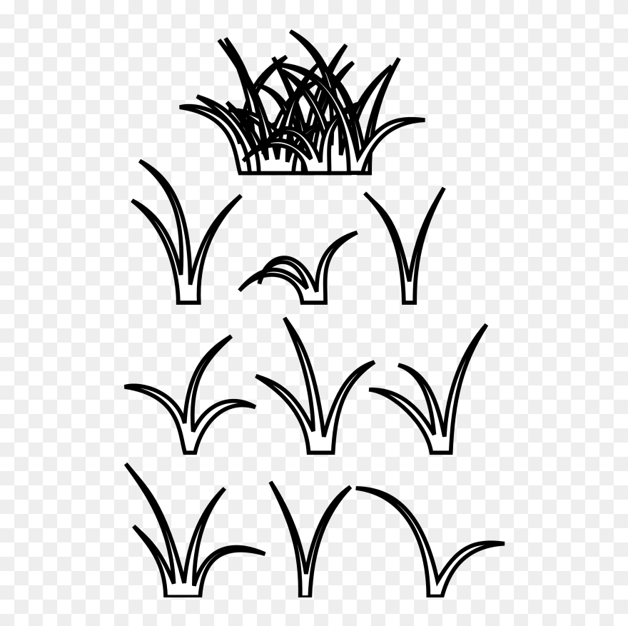 Free Png Download Patch Of Grass Drawing Png Images Clipart