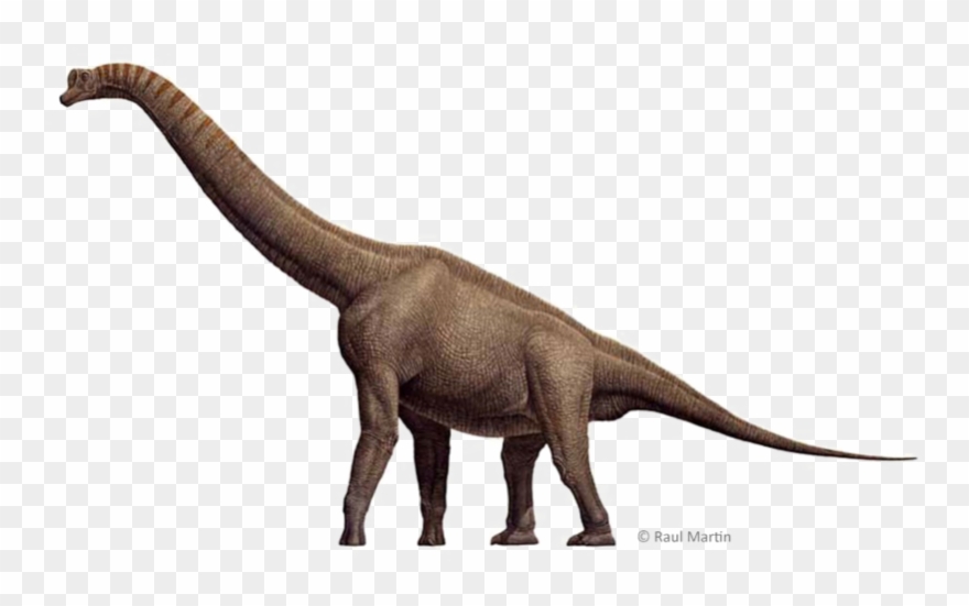 Brachiosaurus Download Free Transparent Image Hd Clipart