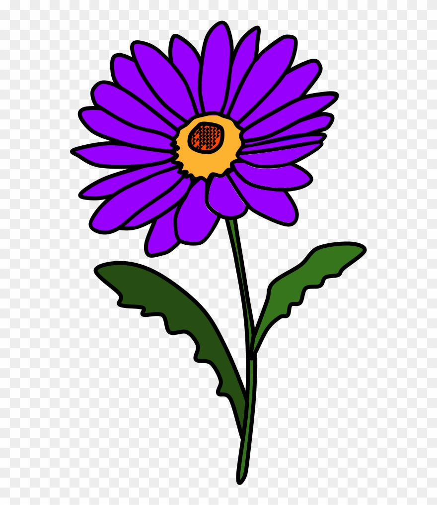Daisy, Petals, Purple Clipart