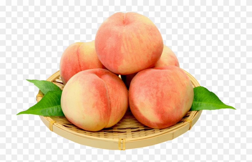 Pear Fruit Png Free Images Toppng Transparent Ⓒ Clipart