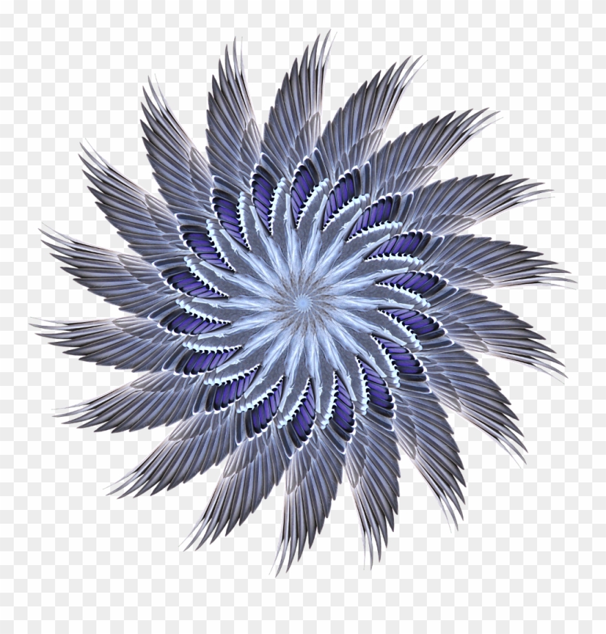 Clown Fish Cafe How Clipart