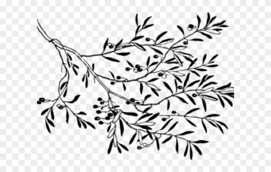 Olive Clipart Black And White - Png Download
