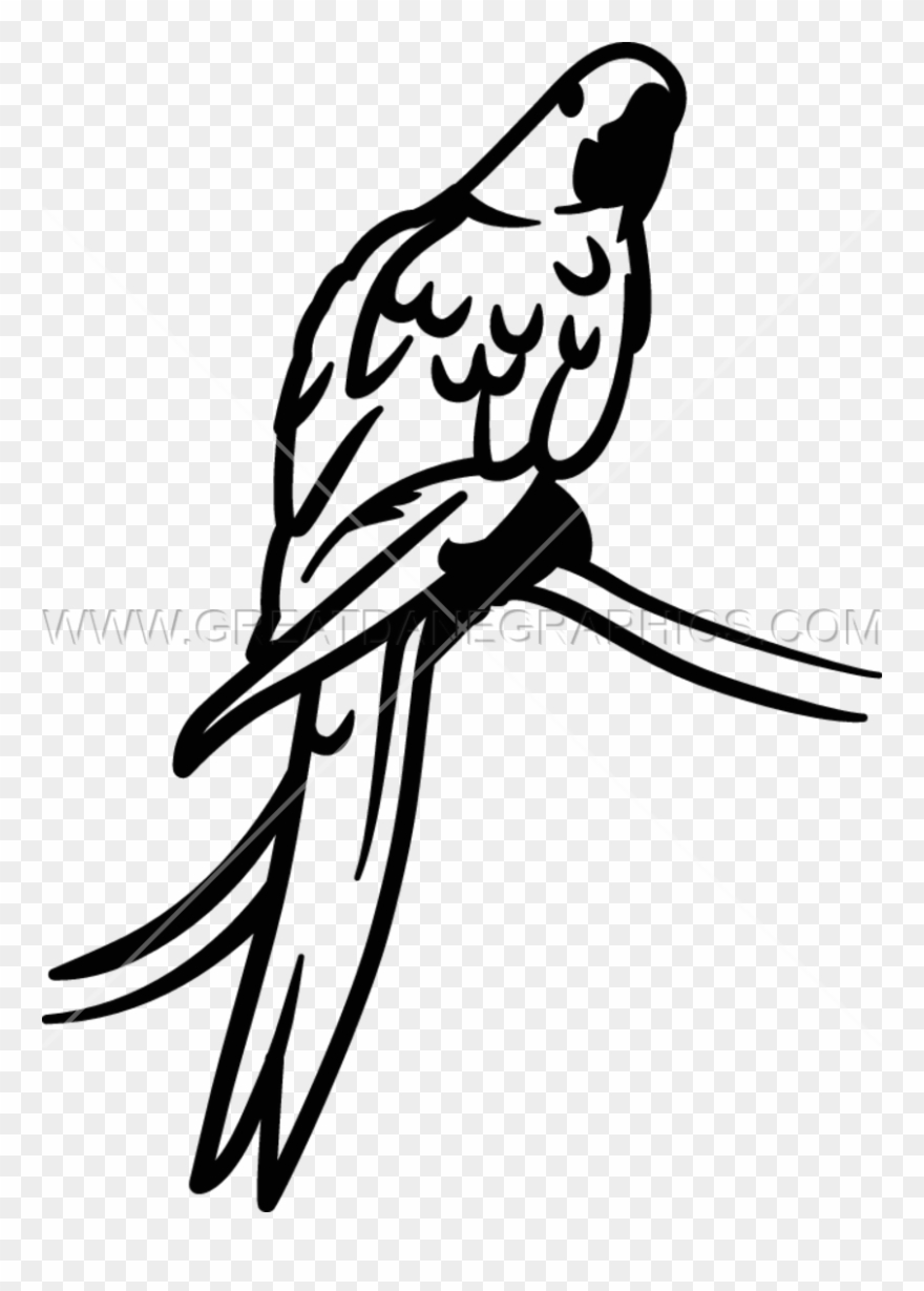 Hyacinth Macaw Black Coloring Page, Printable Hyacinth Clipart