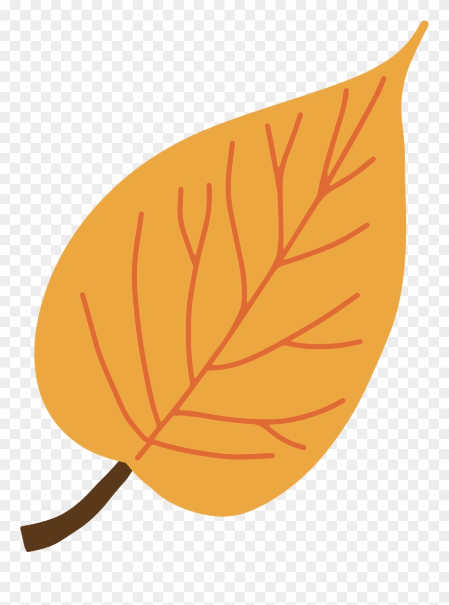 Categories Clipart