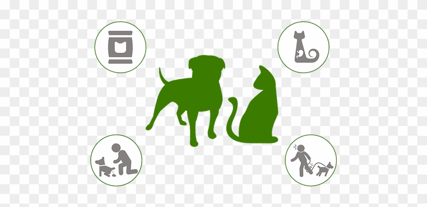 Still Looking For Other Customized Solutions Clipart