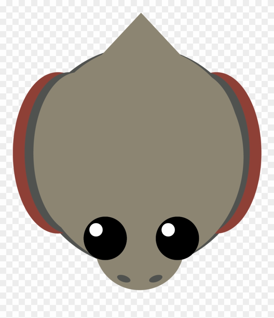 Draco Lizard Clipart