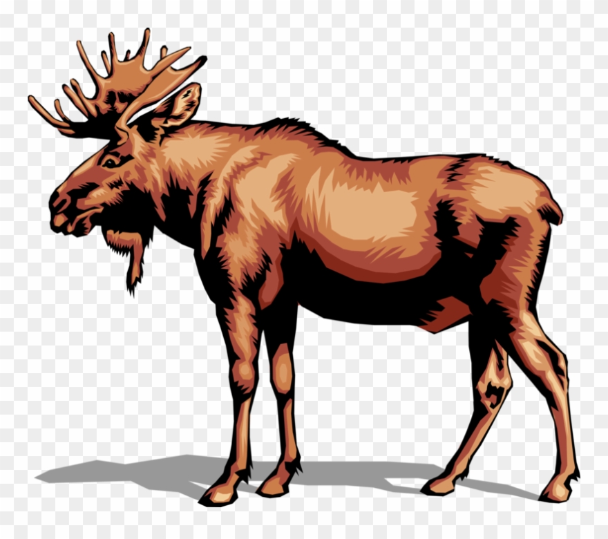 Vector Illustration Of Large, Long-headed Mammal Canadian Clipart