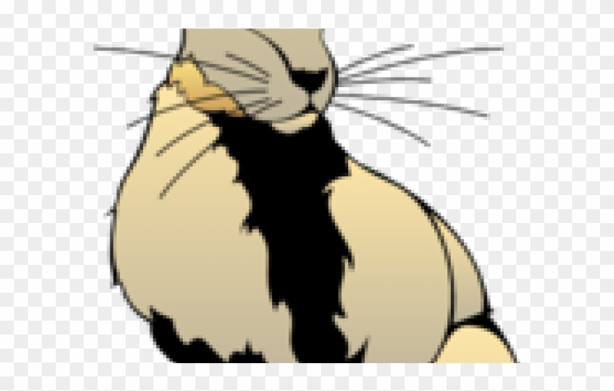 Jack Rabbit Clipart Hare - Png Download