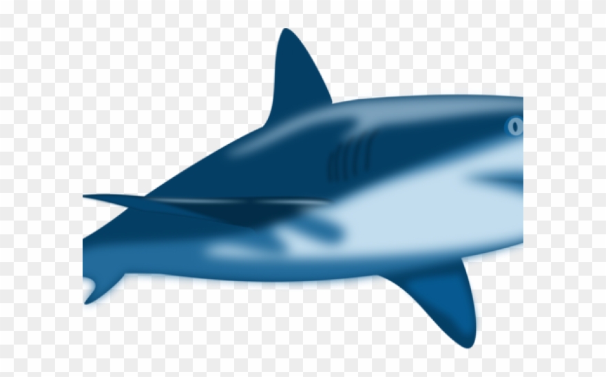 Bull Shark Clipart Reef Shark - Png Download