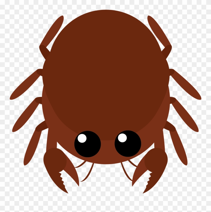 Coconut Crab Clipart