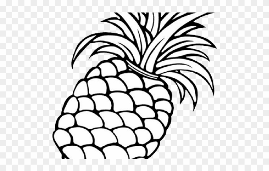 Drawn Pineapple Hawaii Pineapple Clipart