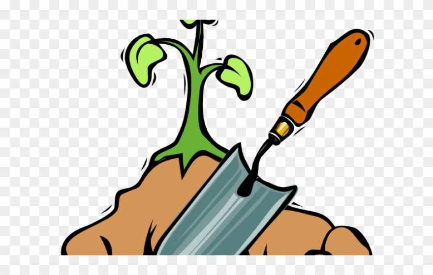 Seed Clipart Seedling - Png Download