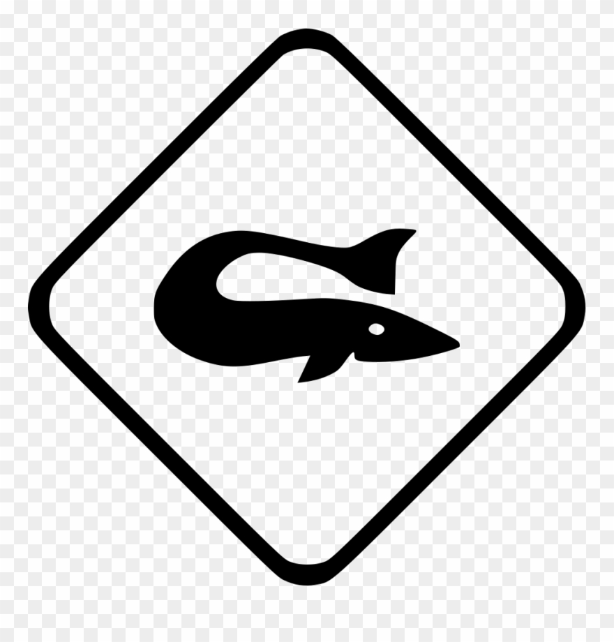 Fish Beluga Sea Ocean Comments Clipart