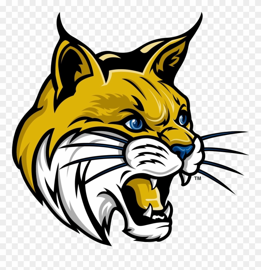 Bobcat Clipart Vector - Png Download