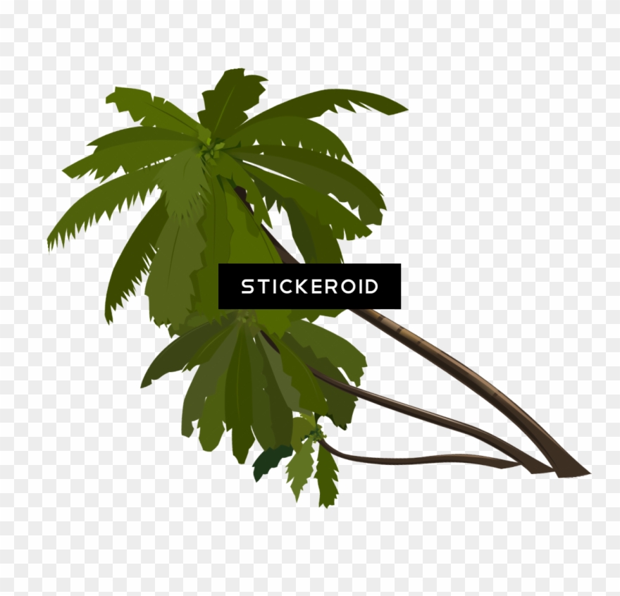 Palm Tree Nature Clipart
