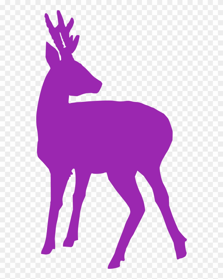 Clip Free Stock Deer Fawn Free Image Icon Silh Info - Png Download