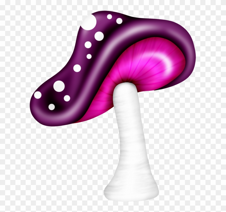 Shrooms ‿✿⁀°••○ Mushroom Clipart