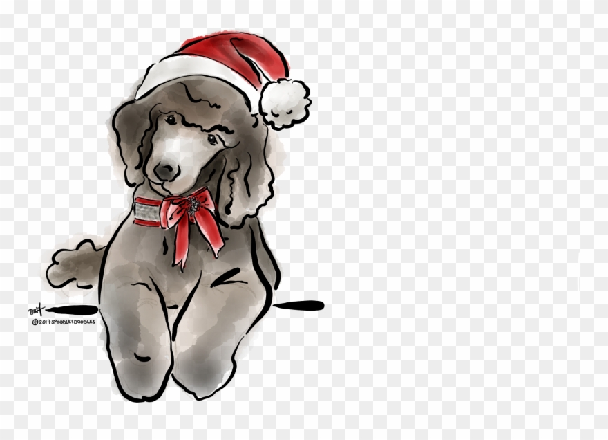 Mini Poodles, Cute Little Animals, Fur Babies, Dog Clipart