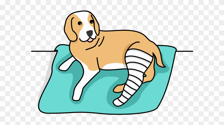 Dog Hospitalization Icon Clipart
