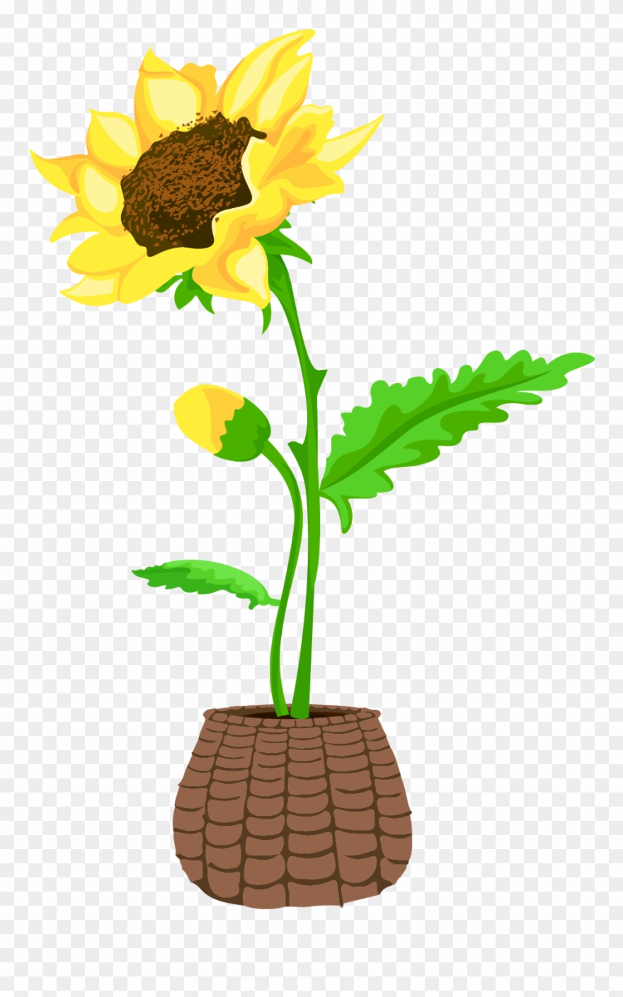 Bonsai Sunflower Flower Hand Drawn Wind Png And Vector Clipart