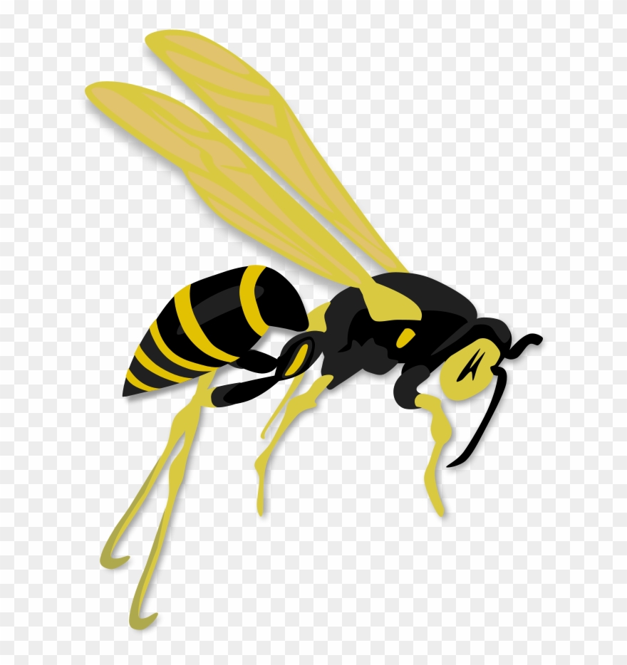 This Free Clip Arts Design Of Flying Wasp - Png Download