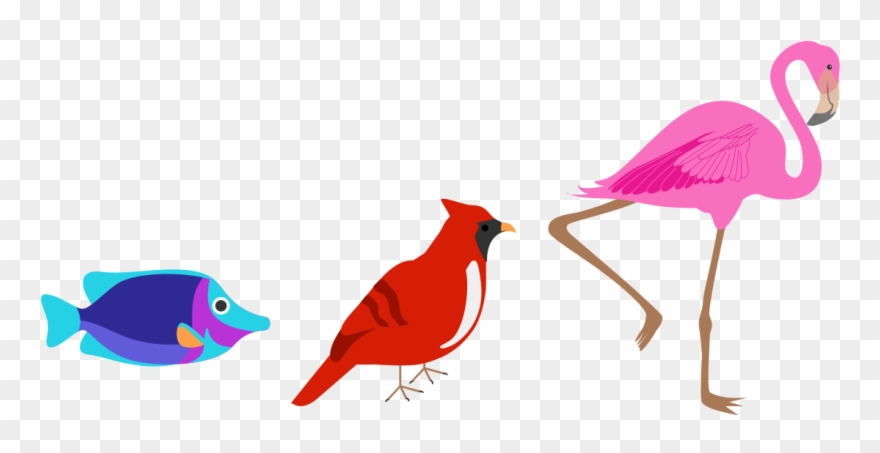 If You Think Of Anything Brightly Colored In The Animal Clipart