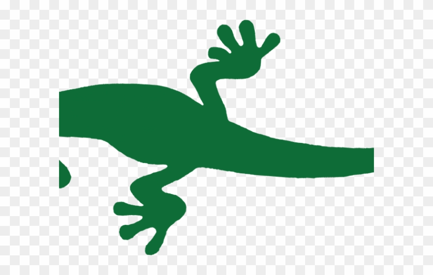Newt Clipart Green - Png Download
