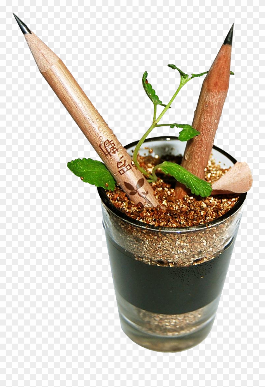 Drawn Pot Plant Plant Seed Clipart
