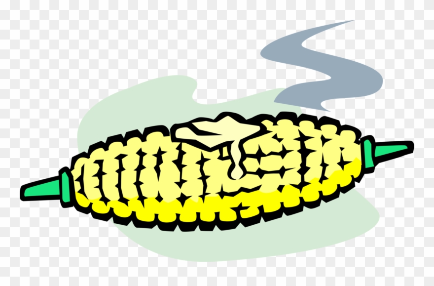 Vector Illustration Of Corn On The Cob Grain Plant Clipart