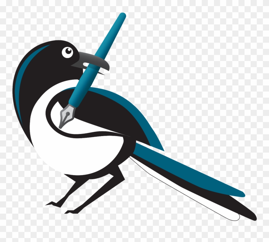 Magpie Clipart Transparent - Png Download