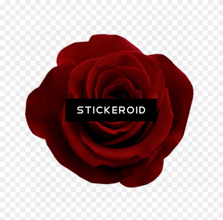 Gothic Rose Flower Clipart