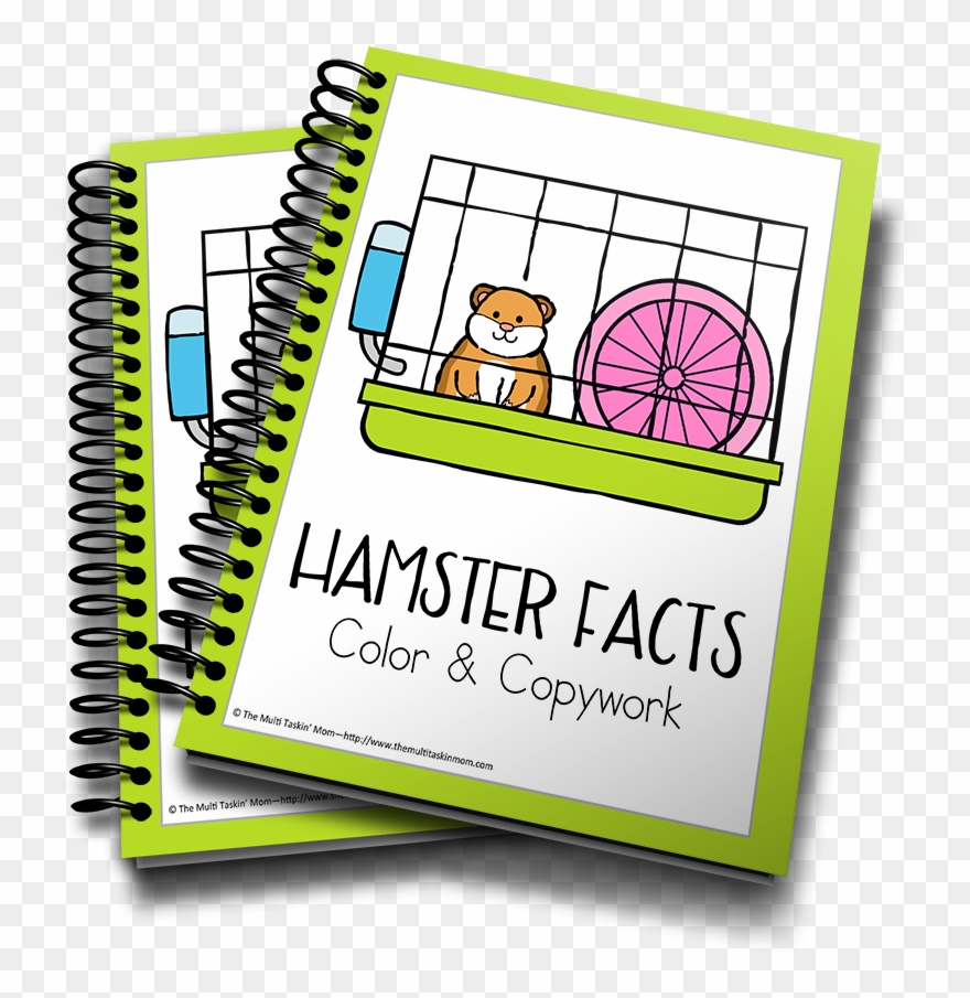 Hamster Facts Color & Copywork Clipart
