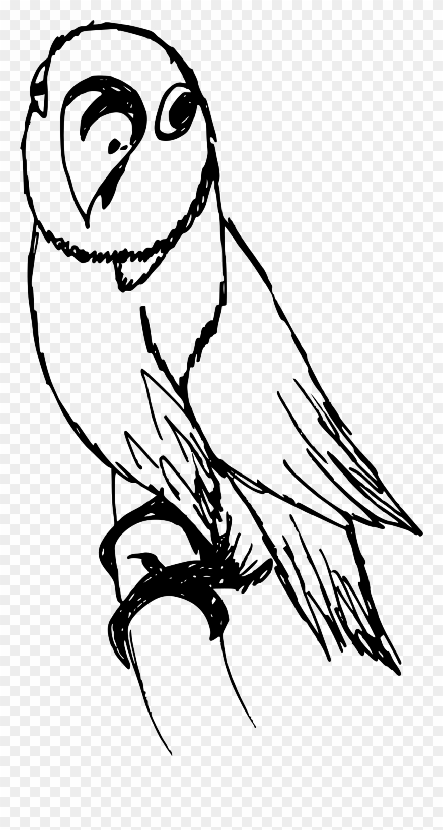 Full Size Of Easy Dinosaur Drawing Tutorial Cartoon Clipart