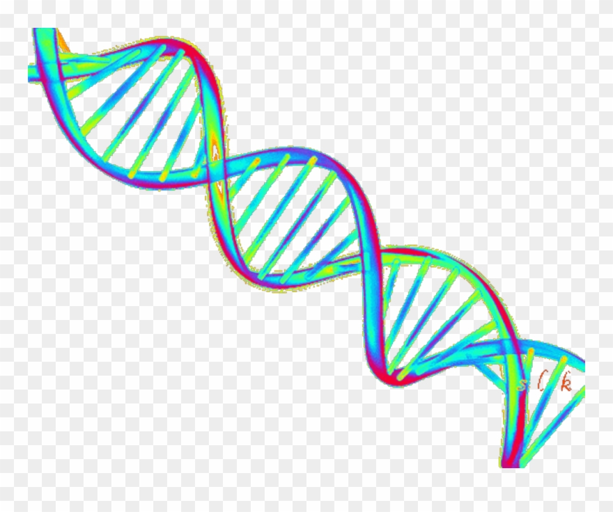 Ftestickers Overlay Tumblr Aesthetic Vaporwave Clipart