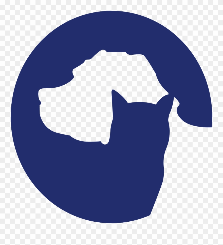 The Board Of Directors Has Hired Joe Stabb, Ph Clipart