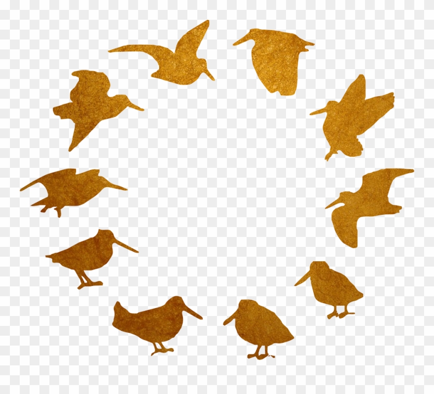 Outdoor Adventures Clipart