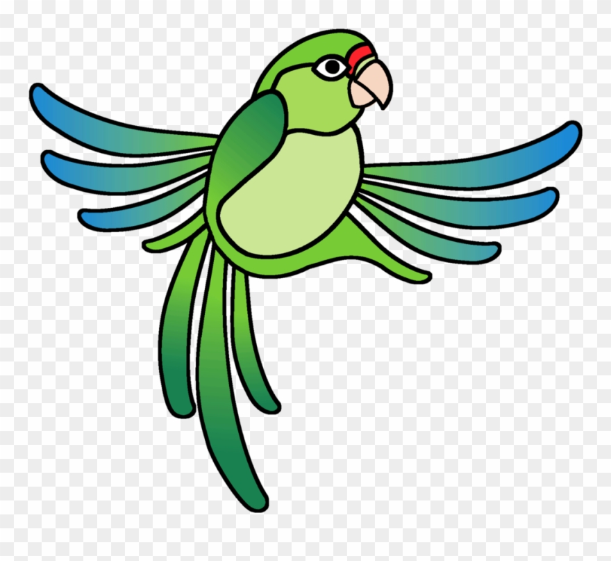 Coqui Drawing Rainforest Frog Clipart