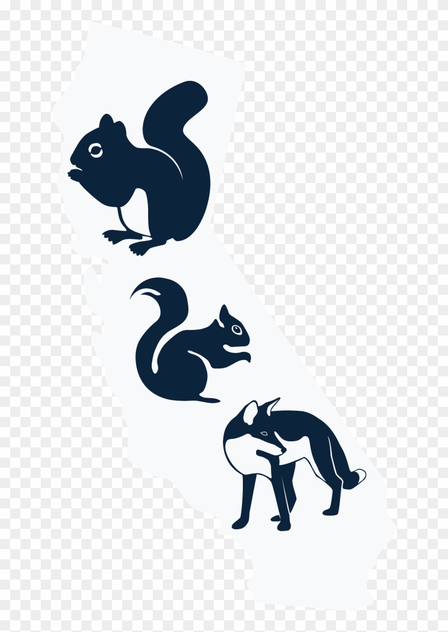 34 Pm 20298 Death 12/10/2015 Clipart