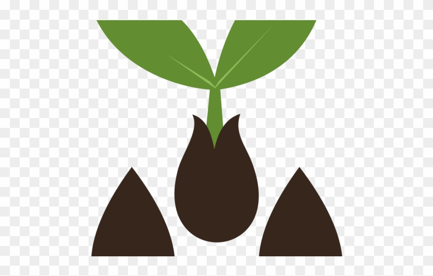 Seeds Clipart Tree Logo - Png Download