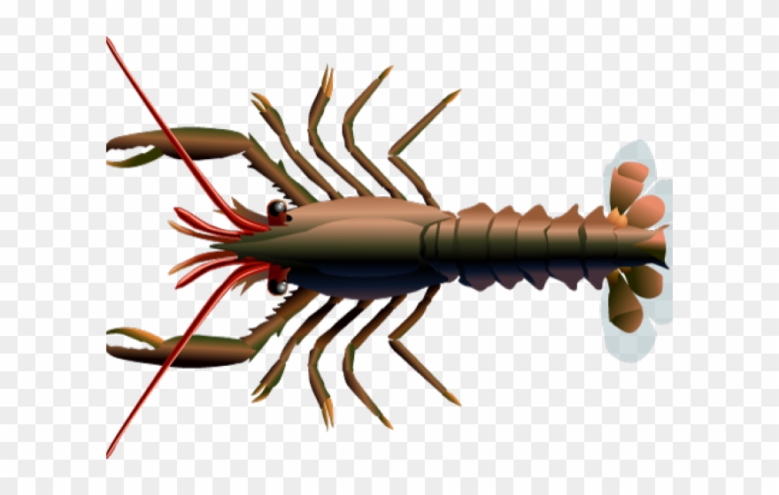 Lobster Clipart Mud Crab - Png Download