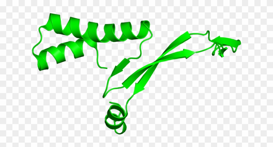 <div Class='caption-body'>1 Copy Of Scop Domain < Clipart