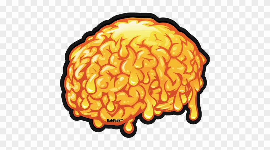 Brains Png Clipart