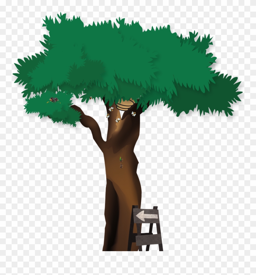 Jungle Clipart Temperate Rainforest - Png Download