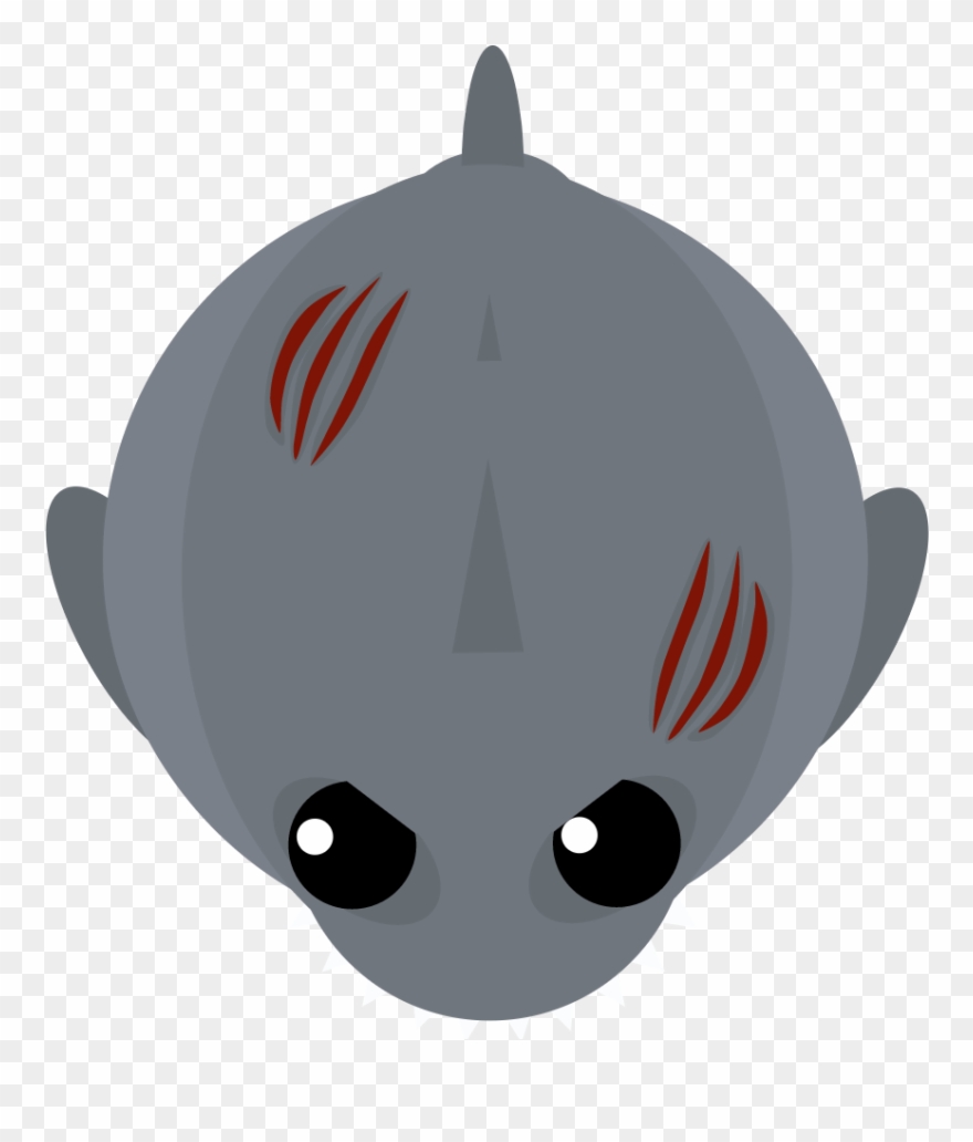 Megalodon Skin Clipart