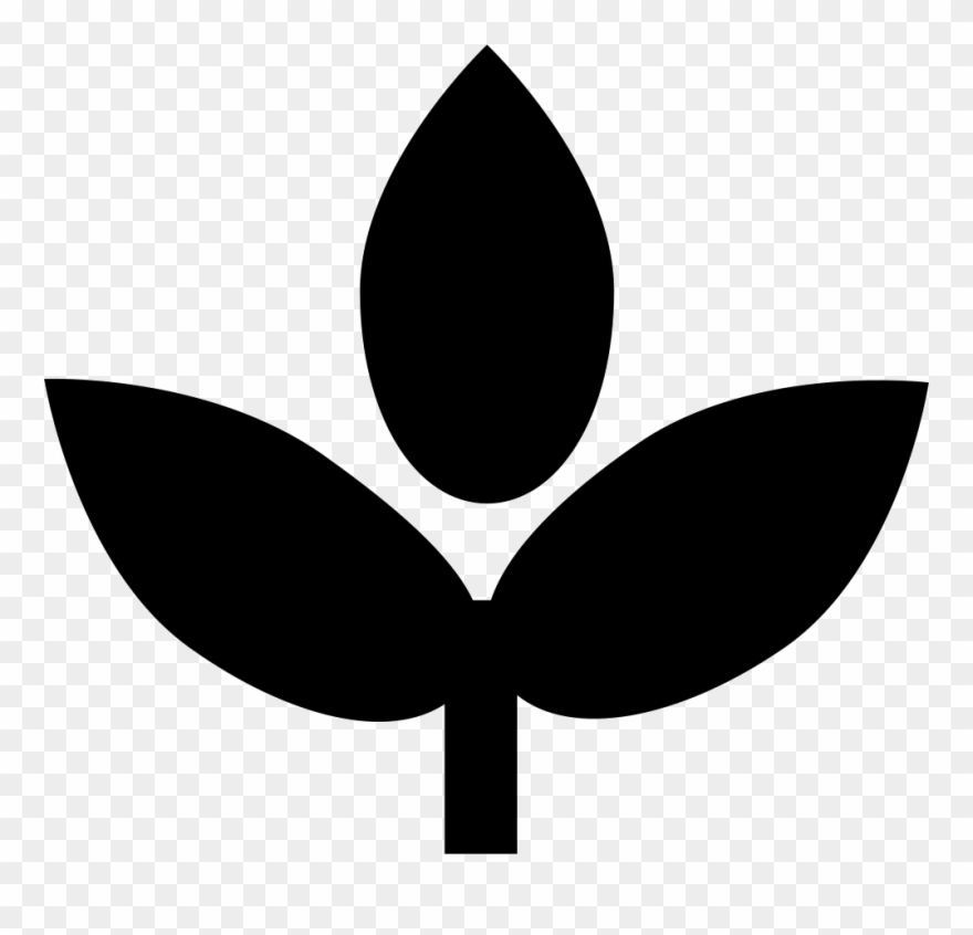 Colonization Management Comments Clipart