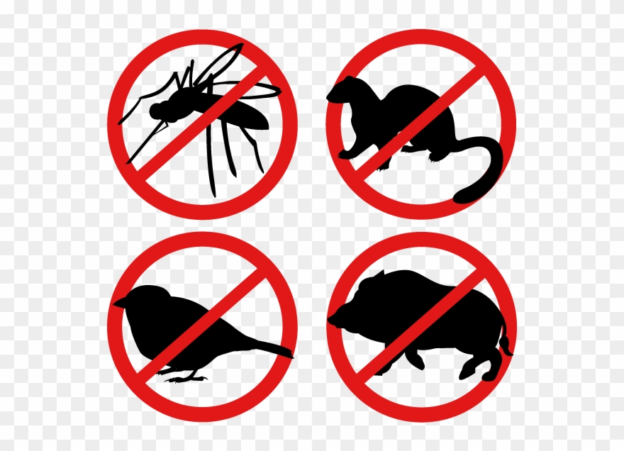 Buy Dog Whistle Stop Barking Ultrasonic Sound Repeller Clipart